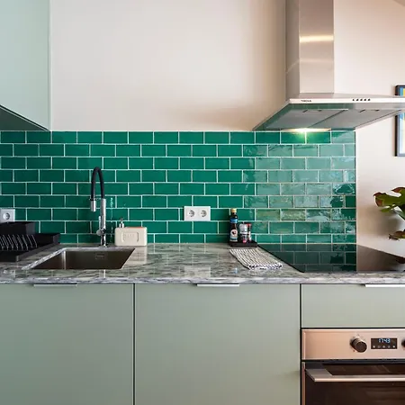 Aires Gouveia Penthouse * Porto